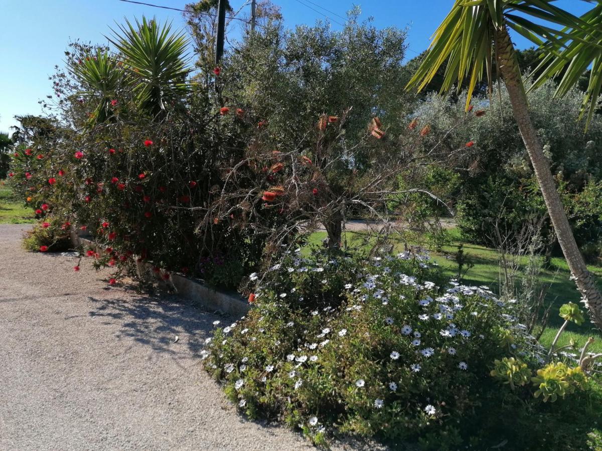 Il Patio Alghero Santa Maria la Palma Buitenkant foto